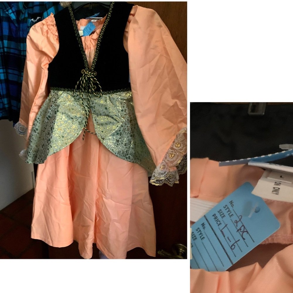 Renaissance Princess Costume - Girl’s size 6/L